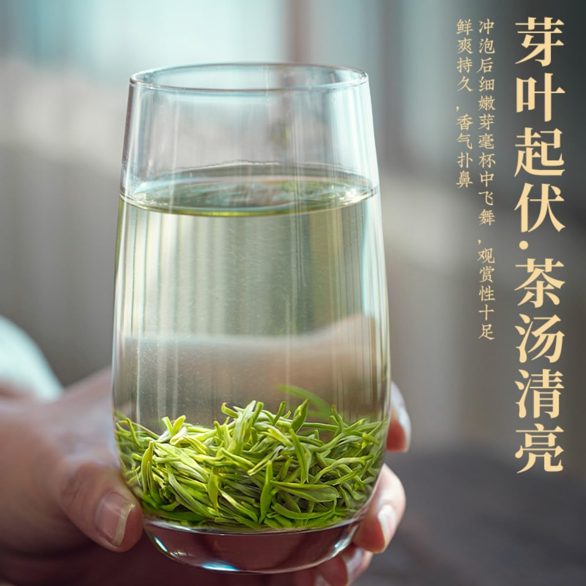 Biluochun Green Tea Gift Box 250g