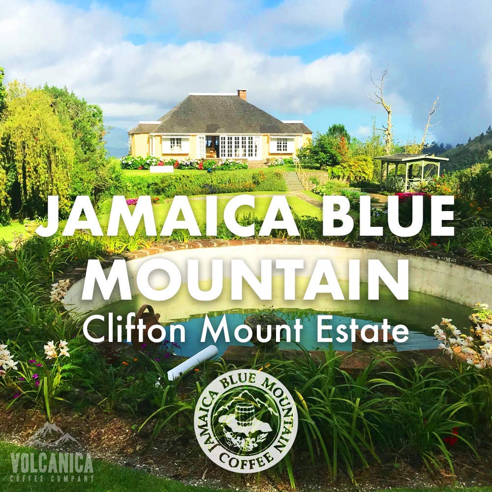 100% Jamaica Blue Mountain Coffee Beans 5 lb