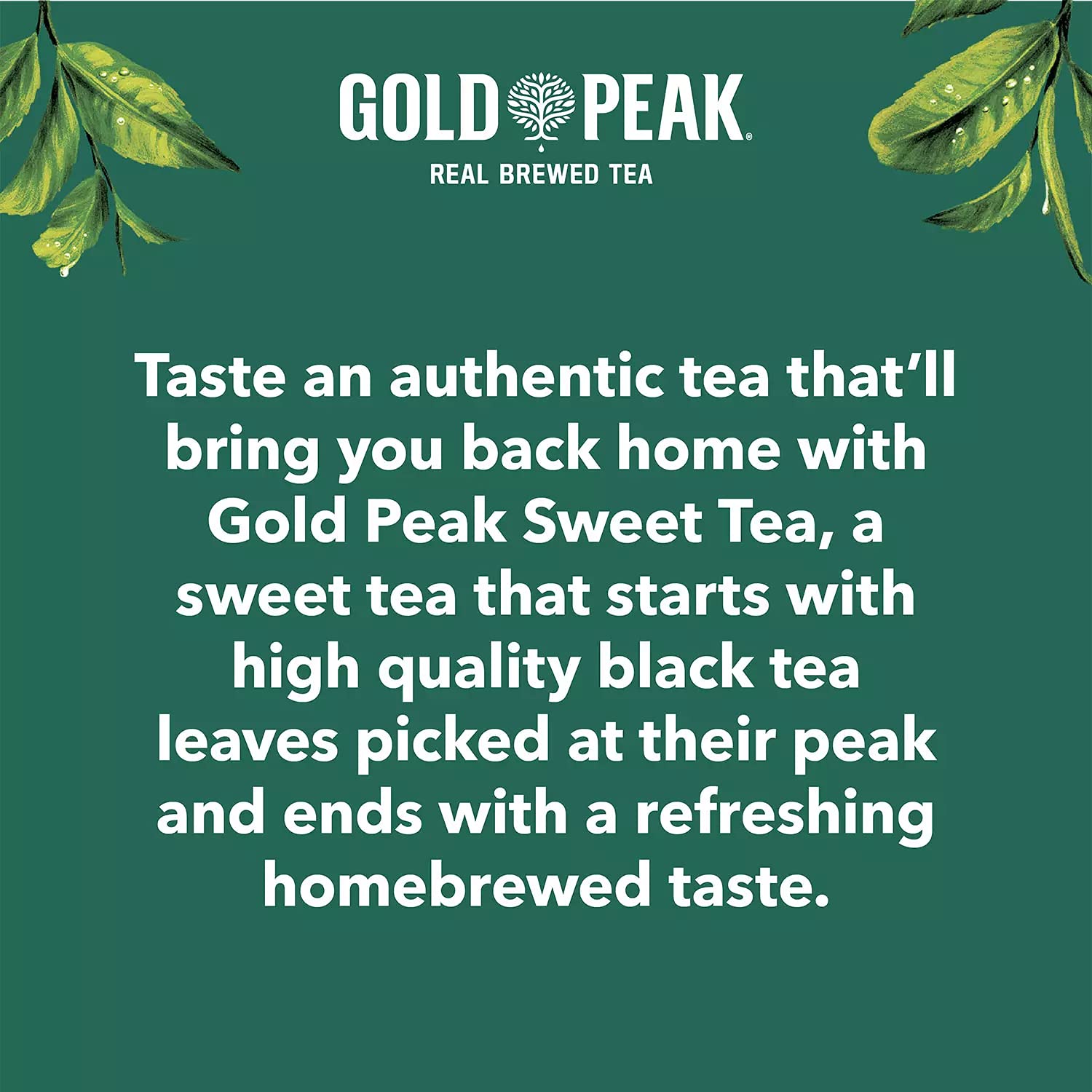 Naturally Sweet Brewed Tea 18.5 oz 36 Bottles