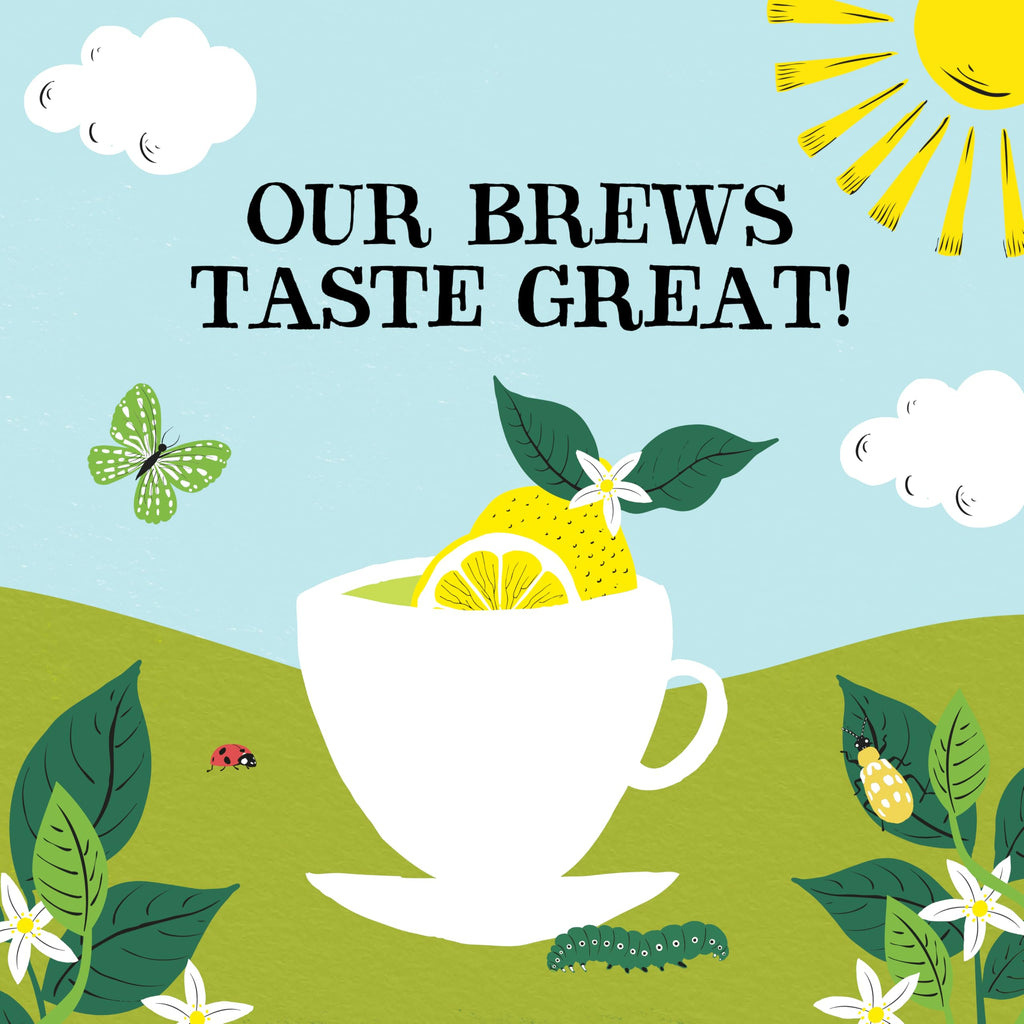Clipper Tea Organic Green Tea – Great Hot or Iced – Natural & Biodegradable