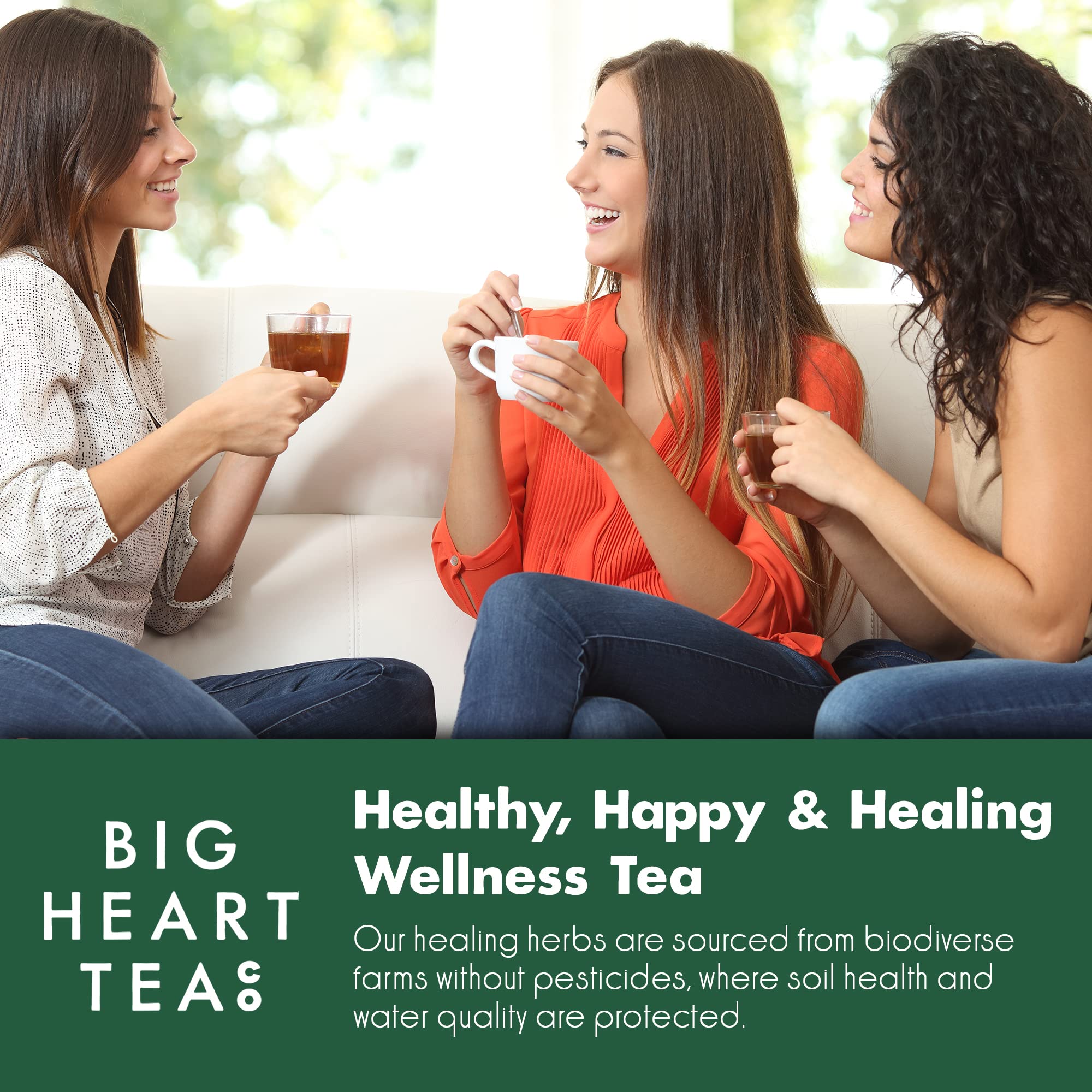 Big Heart Tea Co. Tea Bags Sampler Sets and Gift Sets