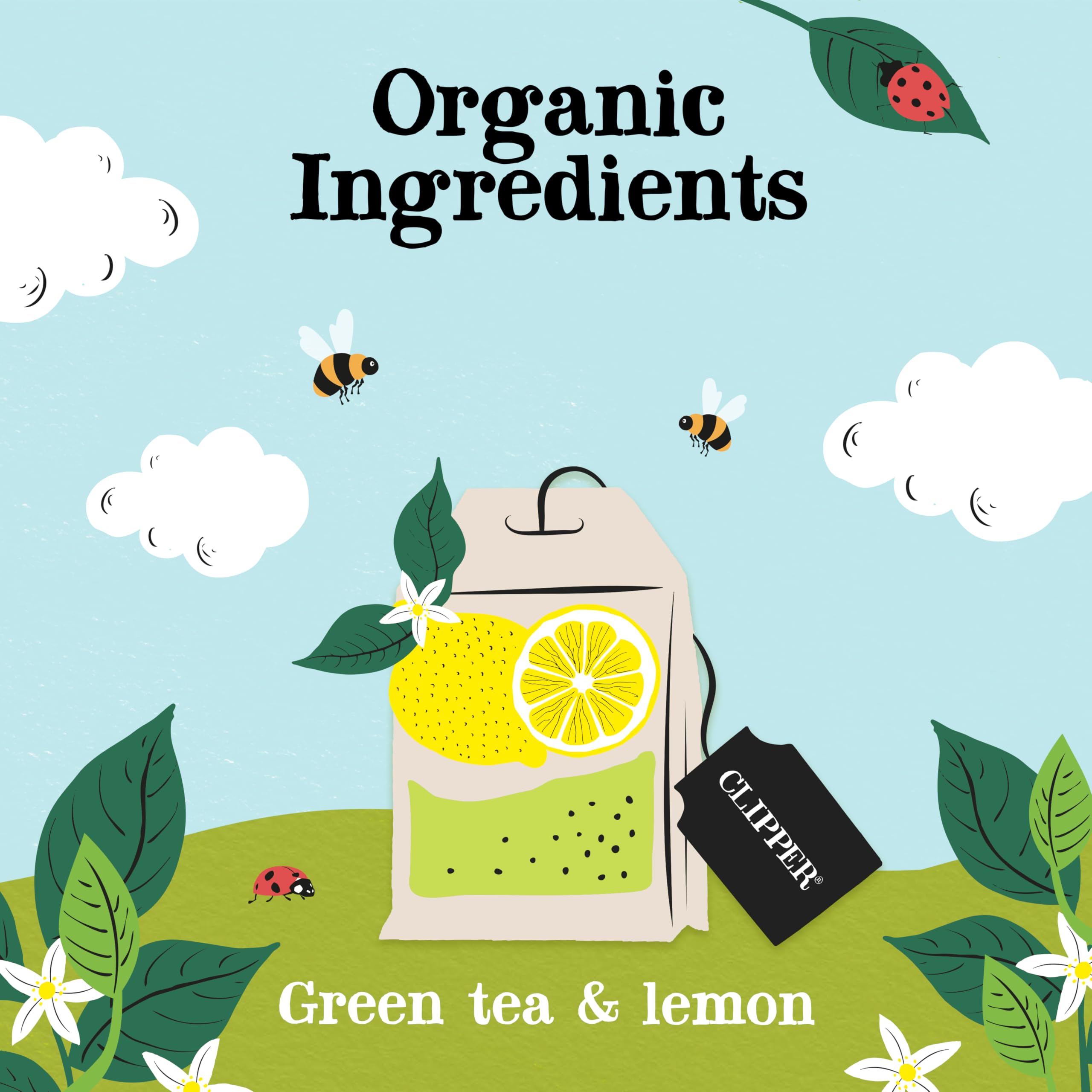 Clipper Tea Organic Green Tea – Great Hot or Iced – Natural & Biodegradable