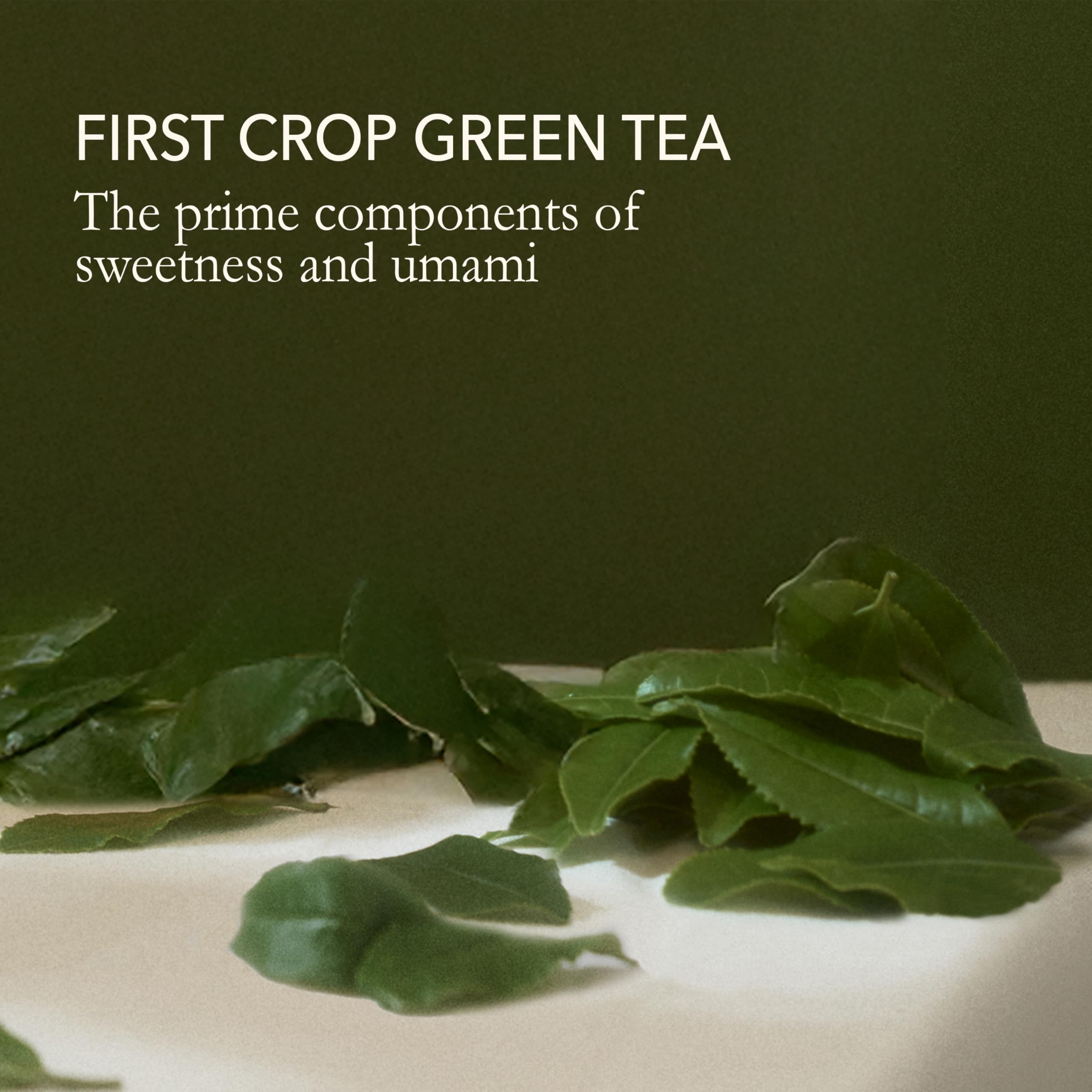 Japanese Sencha Green Tea Loose Leaf 3.5 oz