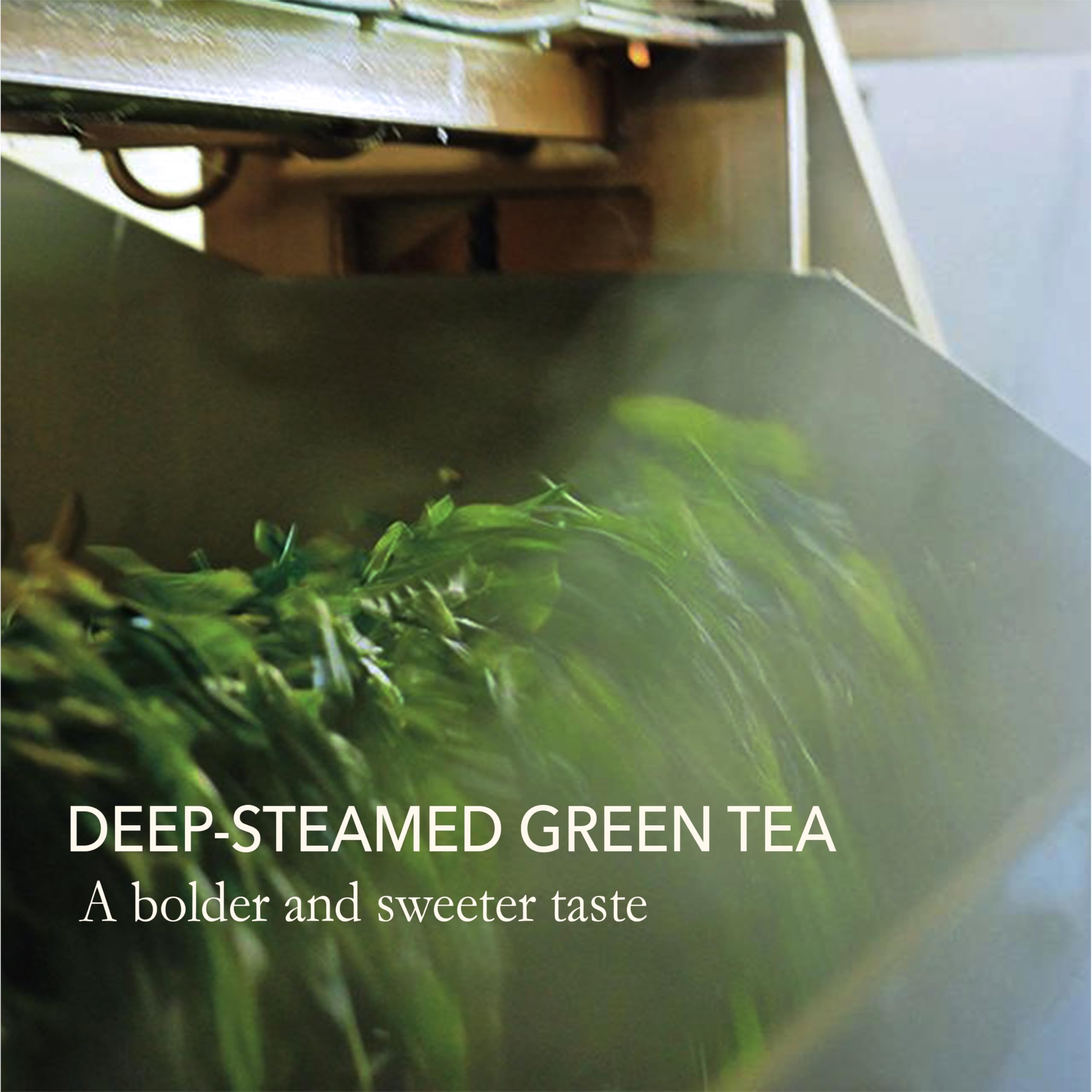 Japanese Sencha Green Tea Loose Leaf 3.5 oz